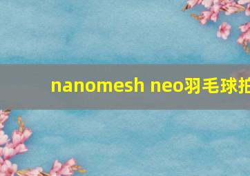 nanomesh neo羽毛球拍